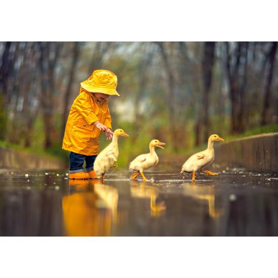Puzzle Castorland Little Friends in the Rain 500 pièces