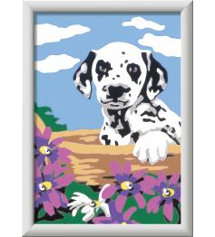 Creart Ravensburger Dalmatien