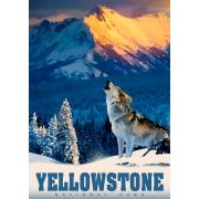 Alipson Loup de Yellowstone Puzzle 500 pièces