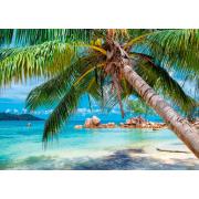 Puzzle de 1000 pièces Alipson Tropical Beach