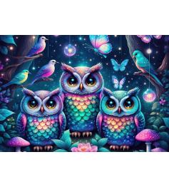 Puzzle Alipson Je Vous Vois 1000 Pieces