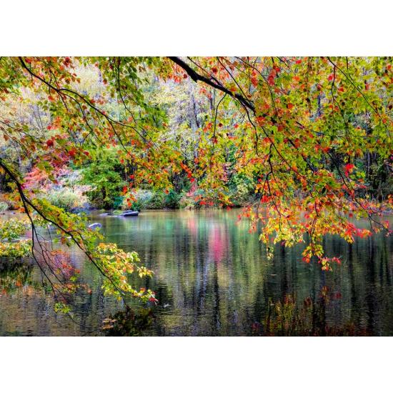 Puzzle Alipson Branches au bord de la rivière 1000 pièces Puzzle Alipson Branches au bord de la rivière 1000 pièces