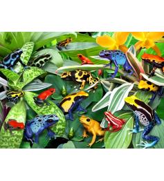 Puzzle Alipson Fun Frogs de 500 pièces