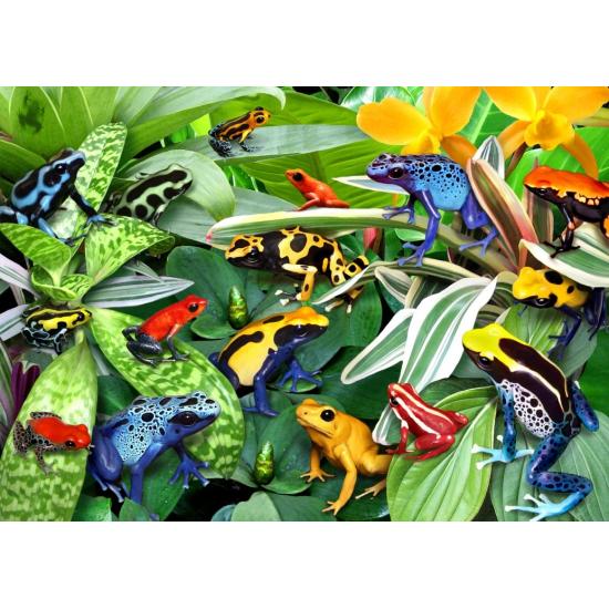 Puzzle Alipson Fun Frogs de 500 pièces