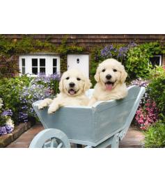Puzzle Chiots d'Anatolie dans la voiture 260 pièces