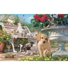 Puzzle Chiots d'Anatolie jouant à cache-cache 260 pièces