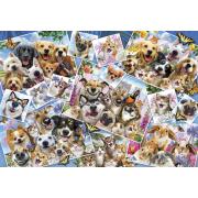 Anatolian Pet Selfies Collage Puzzle 2000 pièces