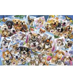 Anatolian Pet Selfies Collage Puzzle 2000 pièces