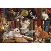 Puzzle d'Anatolie Chatons sur la bibliothèque 500 pièces