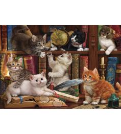 Puzzle d'Anatolie Chatons sur la bibliothèque 500 pièces