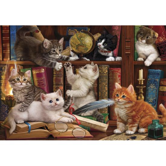 Puzzle d'Anatolie Chatons sur la bibliothèque 500 pièces