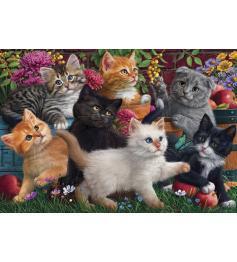Puzzle Anatolien Chatons Jouant 260 Pièces