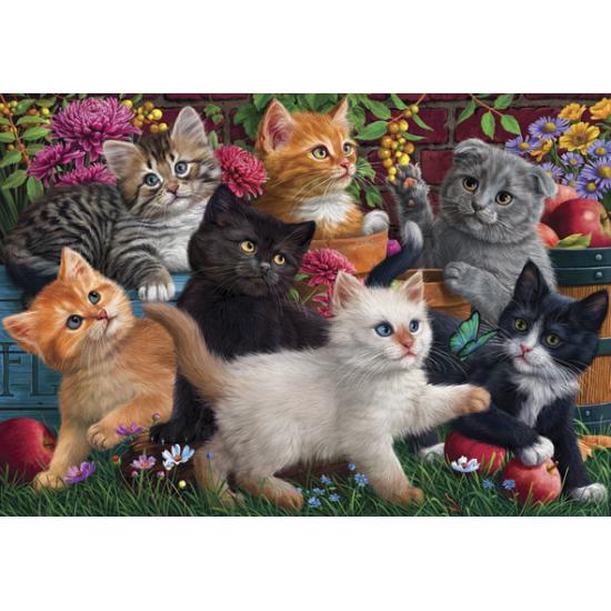 Puzzle Anatolien Chatons Jouant 260 Pièces Puzzle Anatolien Chatons Jouant 260 Pièces