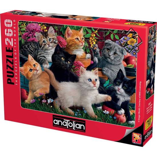 Puzzle Anatolien Chatons Jouant 260 Pièces Puzzle Anatolien Chatons Jouant 260 Pièces