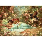 Puzzle Anatolian Le Rosier de 1000 pièces