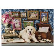 Puzzle Anatolian Labrador 500 pièces