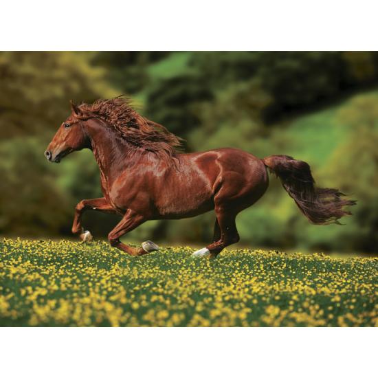 Puzzle Anatolian Freedom 1000 pièces