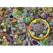 Puzzle Anatolie Cactus Pots 1000 pièces