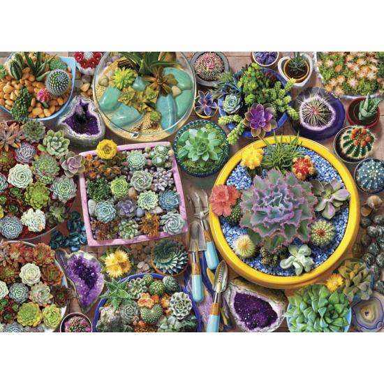 Puzzle Anatolie Cactus Pots 1000 pièces Puzzle Anatolie Cactus Pots 1000 pièces