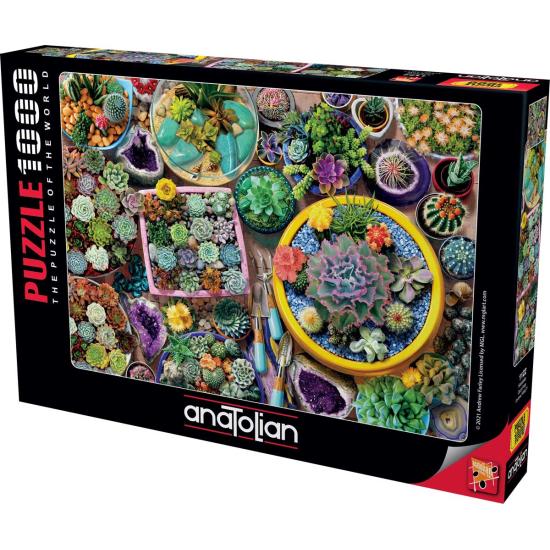 Puzzle Anatolie Cactus Pots 1000 pièces Puzzle Anatolie Cactus Pots 1000 pièces