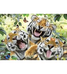 Puzzle Anatolian Selfie of Tigers 260 pièces