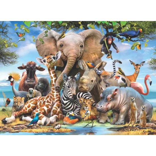 Puzzle Sourire Africain d'Anatolie 1000 pièces