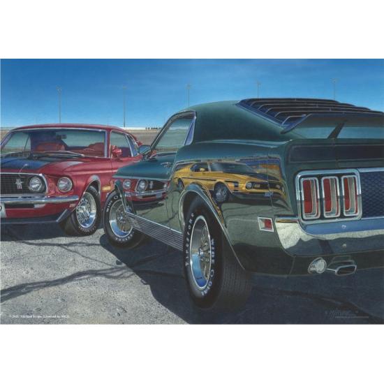 Puzzle Anatolien Vitesse maximale 500 pièces