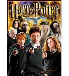 Puzzle Aquarius Collage Harry Potter 1000 pièces