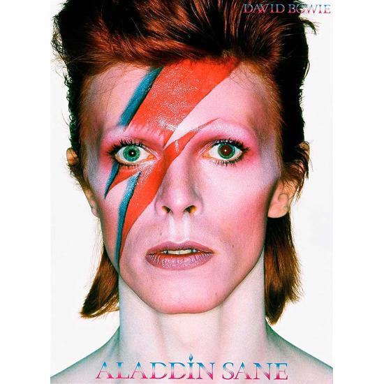 Verseau David Bowie Aladdin Sane Puzzle 500 pièces Verseau David Bowie Aladdin Sane Puzzle 500 pièces