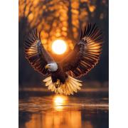 Puzzle Art Puzzle Les ailes du soleil 1000 pièces