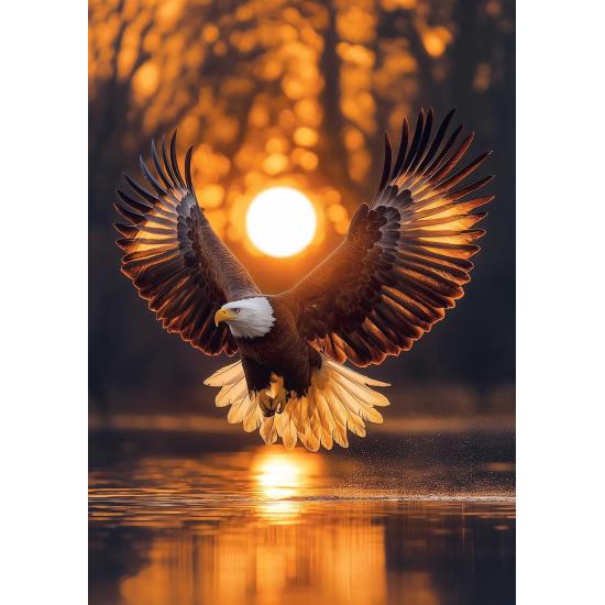 Puzzle Art Puzzle Les ailes du soleil 1000 pièces