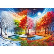 Puzzle Art Puzzle Quatre Mondes 2000 pièces