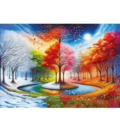 Puzzle Art Puzzle Quatre Mondes 2000 pièces