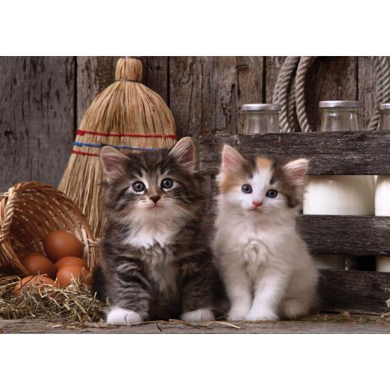 Puzzle Art Puzzle Chatons coquins 500 pièces