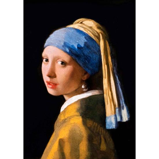 Puzzle Puzzle Art Girl with a Pearl Earring 1000 pièces