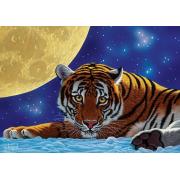 Puzzle Art Puzzle Le Tigre et la Lune 500 Pièces