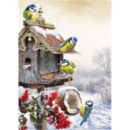 Puzzle Art Puzzle Oiseaux Herrerillos 500 Pièces