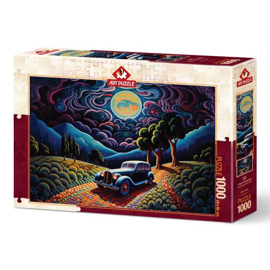 Puzzle Art Puzzle Une Nuit en Transylvanie de 1000 Pcs