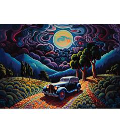 Puzzle Art Puzzle Une Nuit en Transylvanie de 1000 Pcs