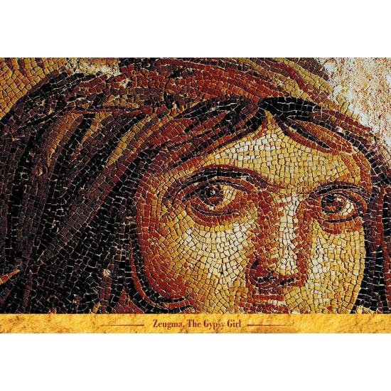 Puzzle Art Puzzle Zeugma, la gitane 1000 pièces