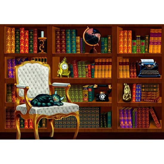 Bluebird Vintage Library Puzzle 1000 pièces