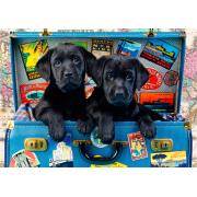 Puzzle Bluebird Black Cubs Voyageurs 1000 pièces