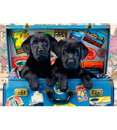 Puzzle Bluebird Black Cubs Voyageurs 1000 pièces