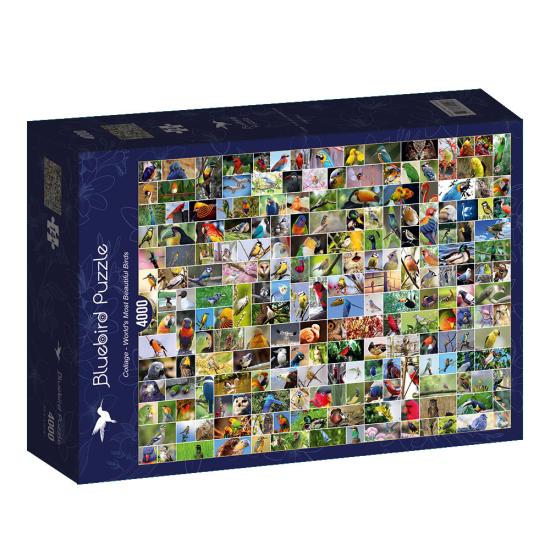 Puzzle Bluebird Collage d'Oiseaux du Monde 4000 Pièces