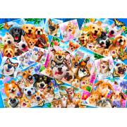 Bluebird Pet Selfie Collage Puzzle 1000 pièces