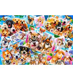 Bluebird Pet Selfie Collage Puzzle 260 pièces
