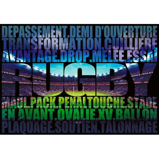 Puzzle Bluebird En Avat le Rugby de 500 pièces