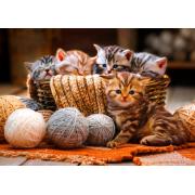 Puzzle Bluebird Chatons dans un panier en laine 1000 pièces