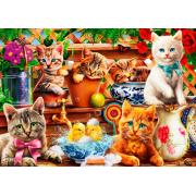 Puzzle 1000 pièces Bluebird Kittens in the Shed