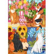 Puzzle Bluebird Les Quatre Saisons Des Chats 1000 pièces